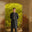 Men Unstitch Embroidered Neckline Kameez Shalwar With Front Spray Black